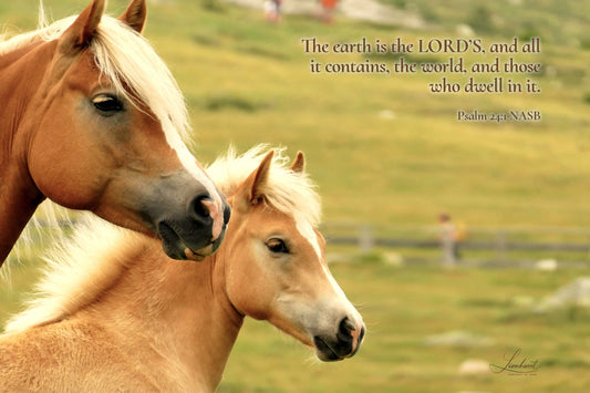 2 Horses (Psalm 24:1)