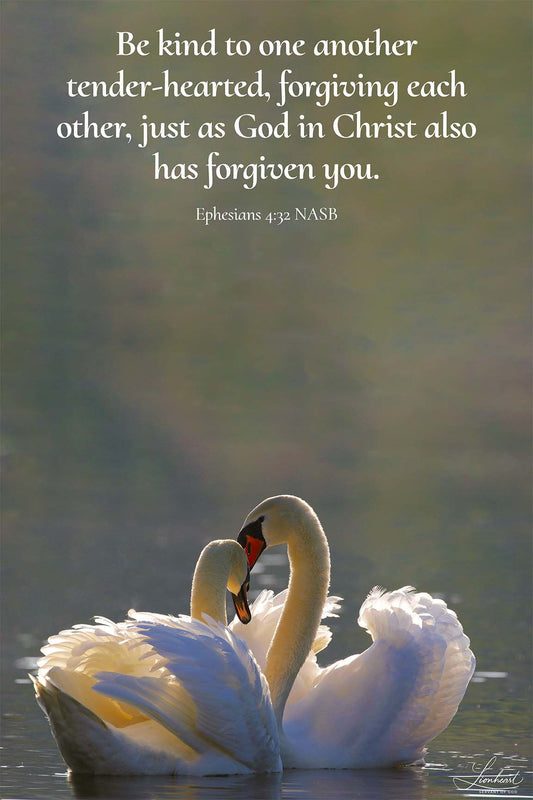 2 Swans (Ephesians 4:32)