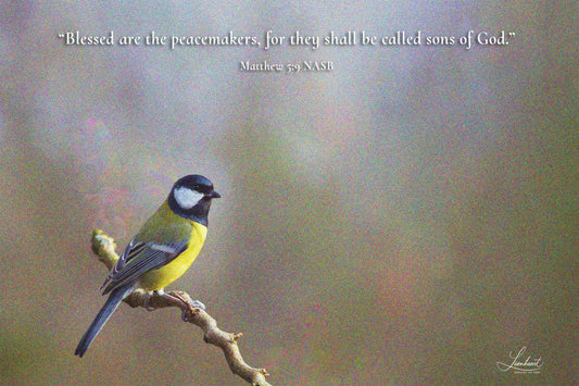 Bird on Branch (Matthew 5:9)