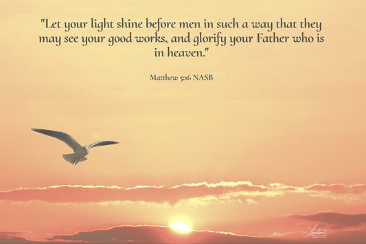 Dove (Matthew 5:16)