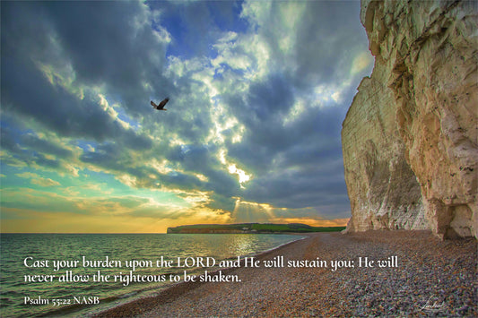 Eagle Scanning (Psalm 55:22)