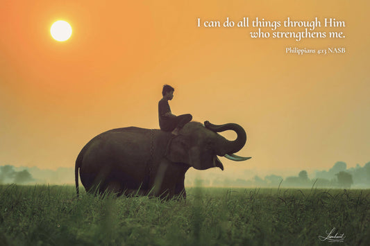 Elephant at Sunrise (Philippians 4:13)