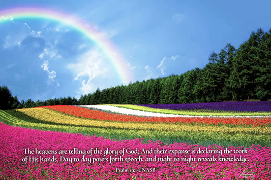 Flower Field (Psalm 19:1-2)