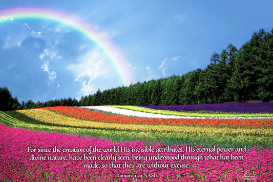 Flower Field (Romans 1:20)