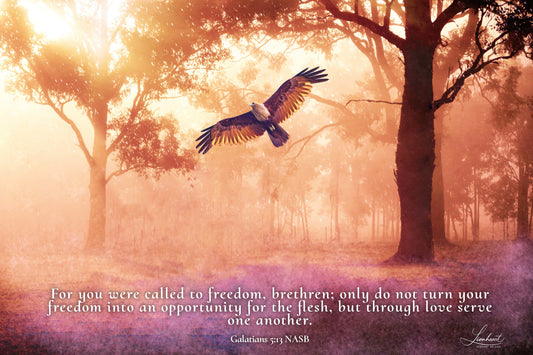 Forest Eagle (Galatians 5:13)