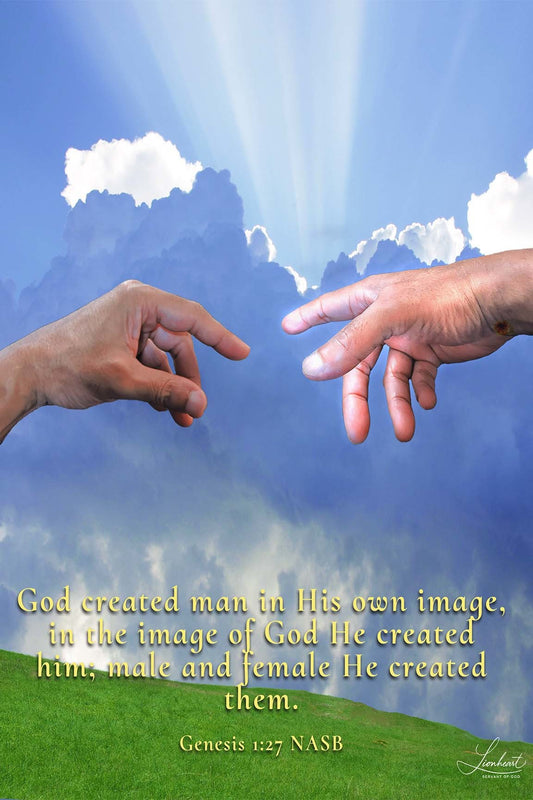 God and Man (Genesis 1:27)