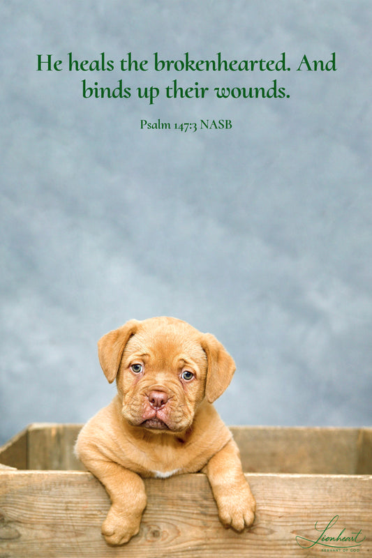 Golden Puppy (Psalm 147:3)