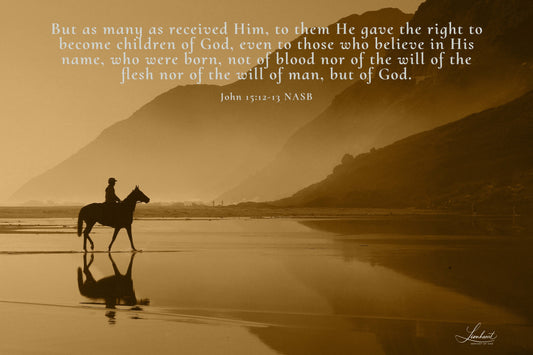 Horse and Rider (John 15:12-13)