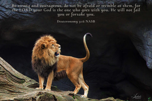 Lion at the Cave (Deuteronomy 31:6)