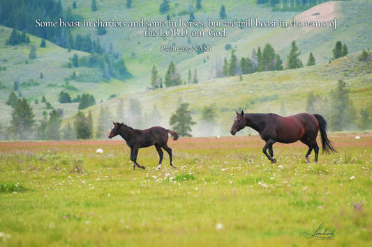 Roaming Horses (Psalm 20:7)