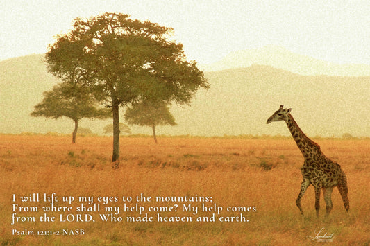 Serengeti Giraffe (Psalm 121:1-2)