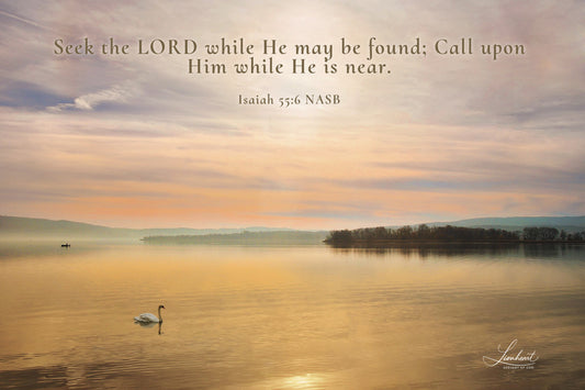 Swan on Golden Pond (Isaiah 55:6)