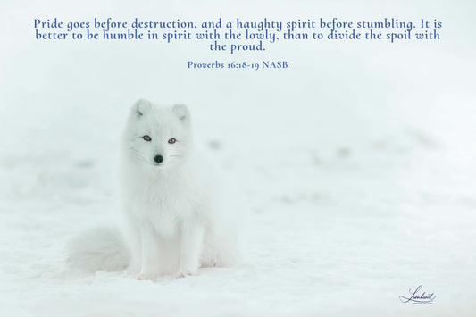 White Fox (Proverbs 16:18-19)