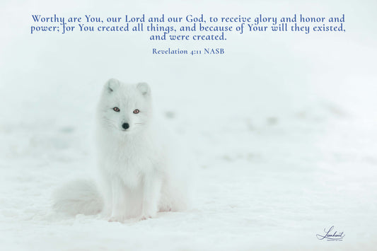 White Fox (Revelation 4:11)