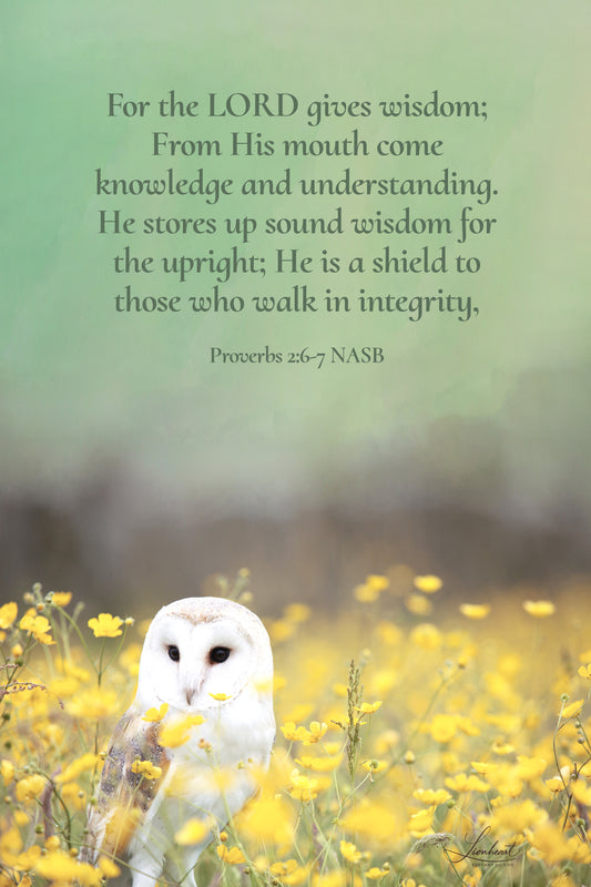 White Owl (Proverbs 2:6-7)