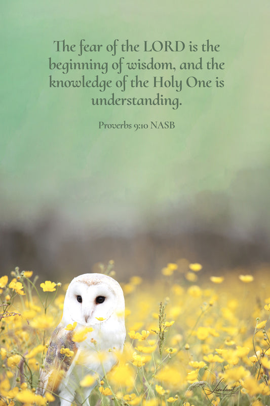 White Owl (Proverbs 9:10)