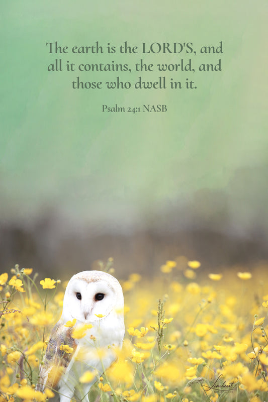 White Owl (Psalm 24:1)